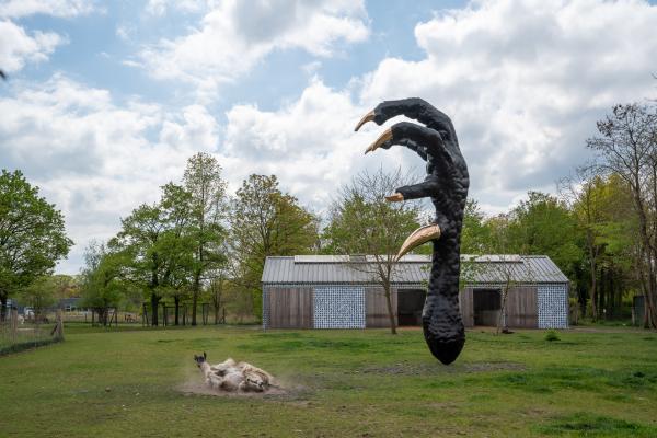 T-Rex © Koen Vanmechelen LABIOMISTA Photo Kris Vervaeke