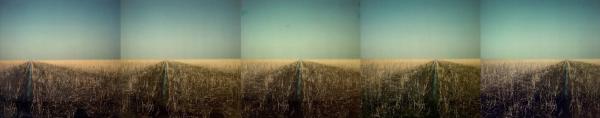 Ger Dekkers, Reed Land and Ditch, Flevoland, 1978, foto, Collectie Gemeente Enschede.jpg Ger Dekkers, Reed Land and Ditch, Flevoland, 1978, foto, Collectie Gemeente Enschede.jpg