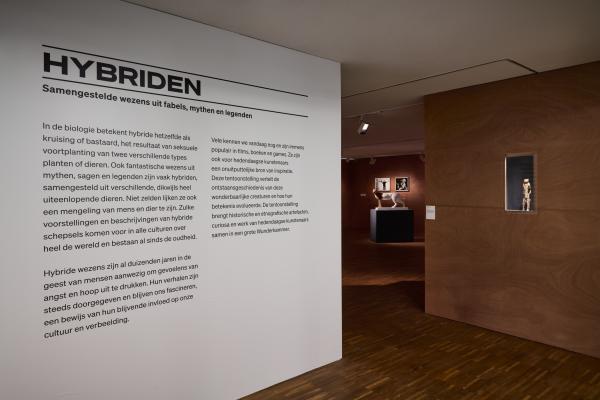 Hybrids, De Warande © WeDocumentArt