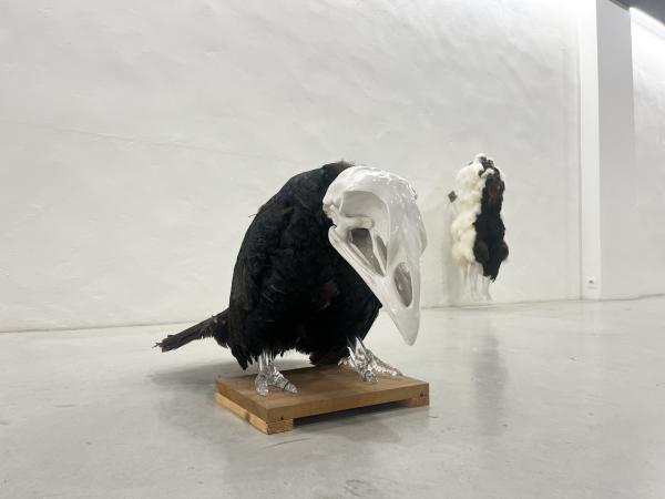 Artificial Crossbreeding by Koen Vanmechelen
