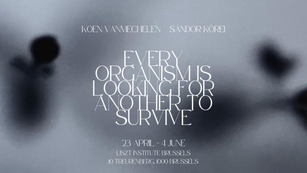 Art Brussels, Every organism is looking for another to survive Art Brussels, Every organism is looking for another to survive