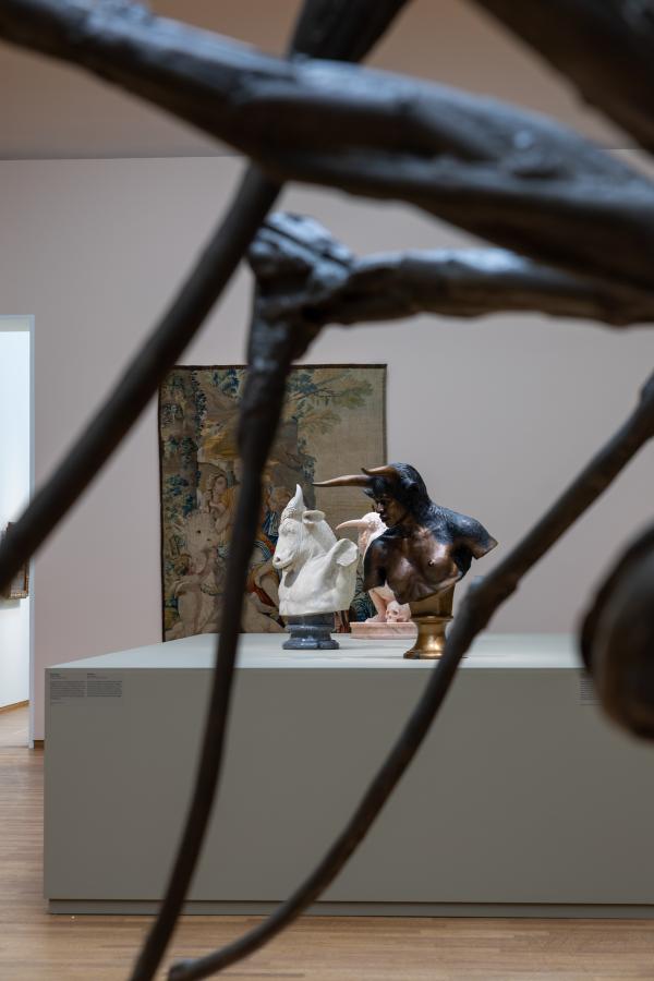 Metamorfosen, Foto:Rijksmuseum/Albertine Dijkema Metamorfosen, Foto:Rijksmuseum/Albertine Dijkema
