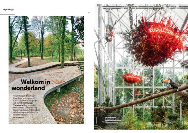 De Morgen Magazine cutout