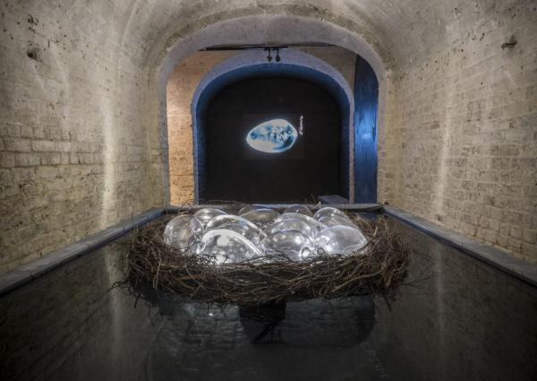 Expo, Darwin’s Dream, St Pancras Church, London (UK), © Koen Vanmechelen