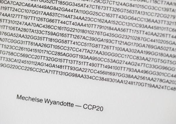 Book of Genomes © Koen Vanmechelen, photo Kristof Vrancken