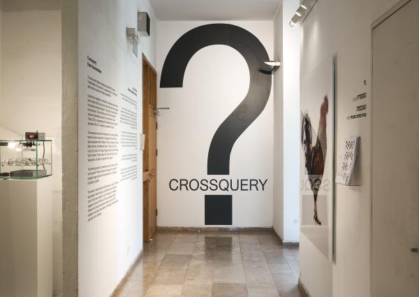 Crossquery, The Jerusalem Biennale, 2021 © Koen Vanmechelen, photo Dor Kedmi