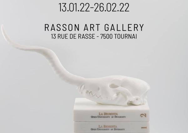 RASSON ART GALLERY, Koen Vanmechelen