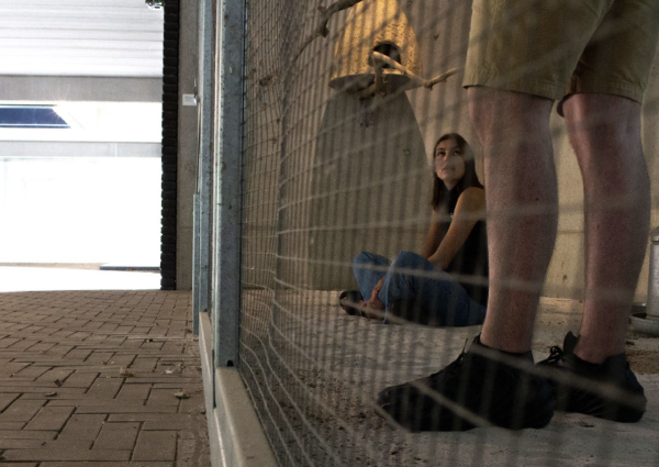 The Trilogy of Restricted Movement by Marie Nys & Quinten De Wilde 