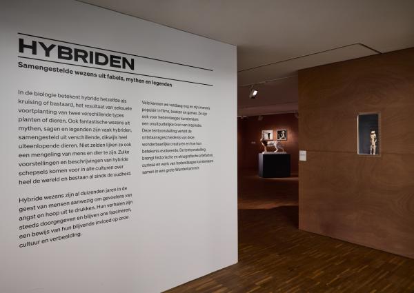 Hybrids, De Warande © WeDocumentArt