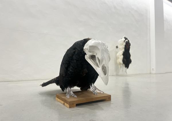 Artificial Crossbreeding by Koen Vanmechelen