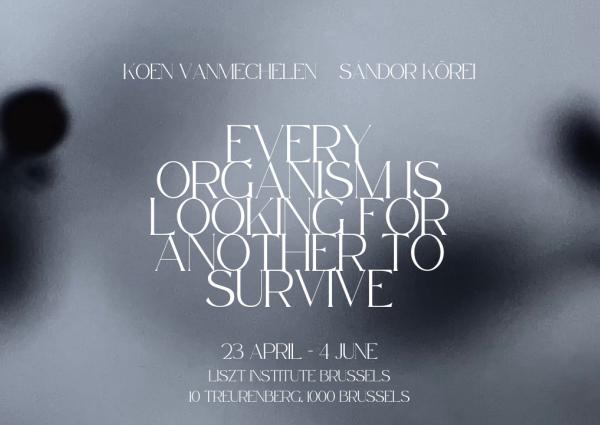 Art Brussels, Every organism is looking for another to survive