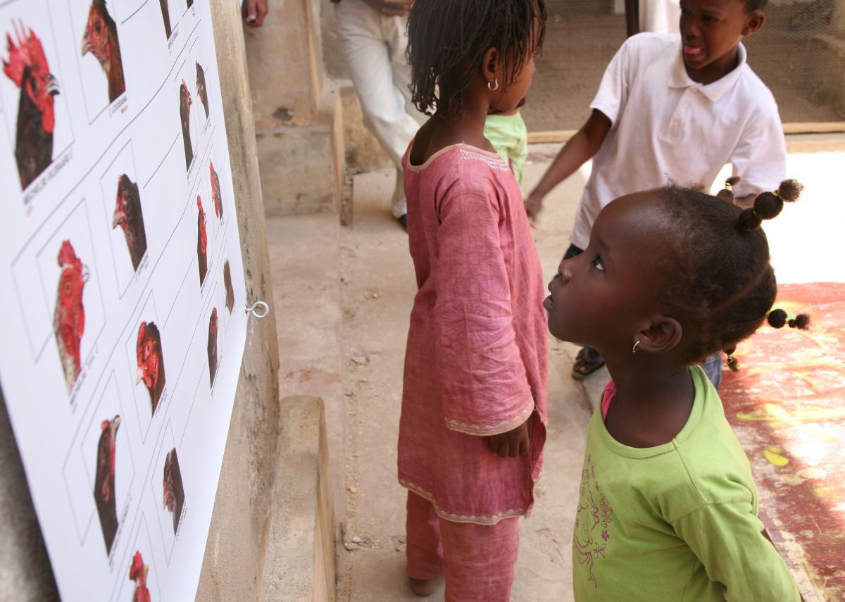 CCP Biennale Dakar 2012