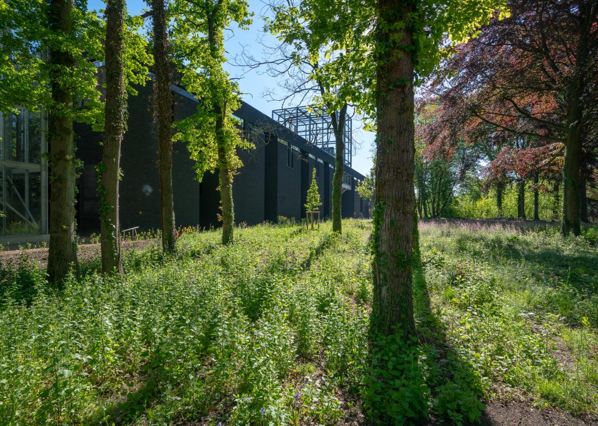 The Battery - Studio Koen Vanmechelen, LABIOMISTA, Genk (BE), 2019, photo Kris Vervaeke
