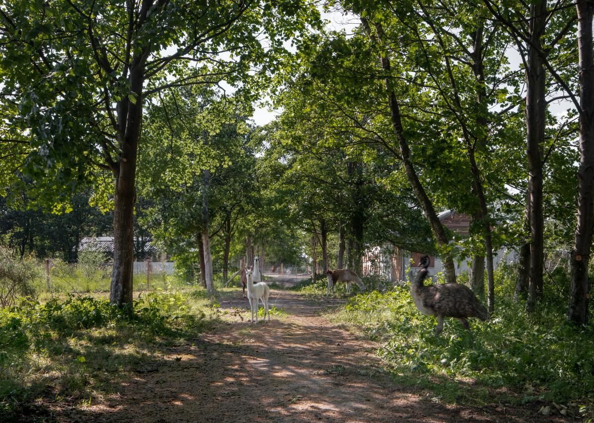 Cosmopolitan Culture Park, LABIOMISTA © Koen Vanmechelen, photo Jeroen Verrecht Cosmopolitan Culture Park, LABIOMISTA © Koen Vanmechelen, photo Jeroen Verrecht