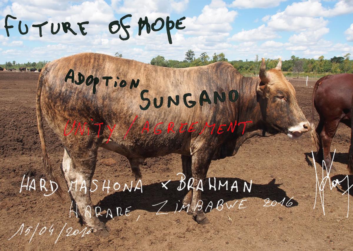 L.O.C.K. Sungano