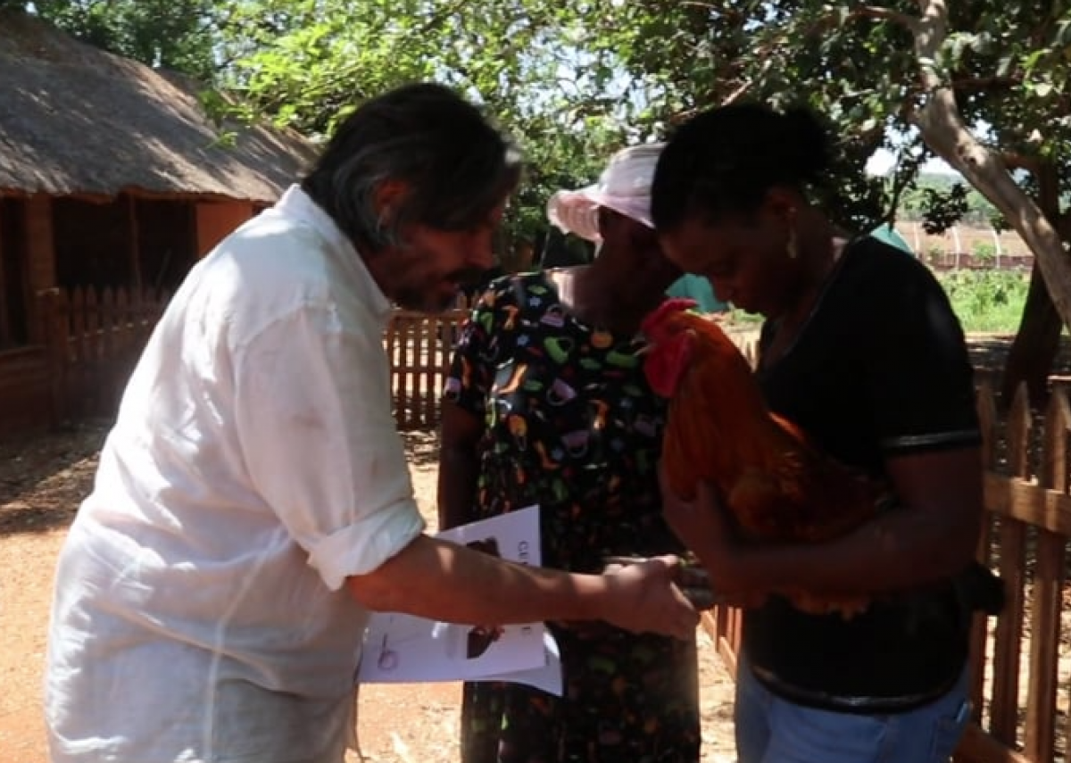 First Hukukhulu roosters fly out, Harrare (ZW)