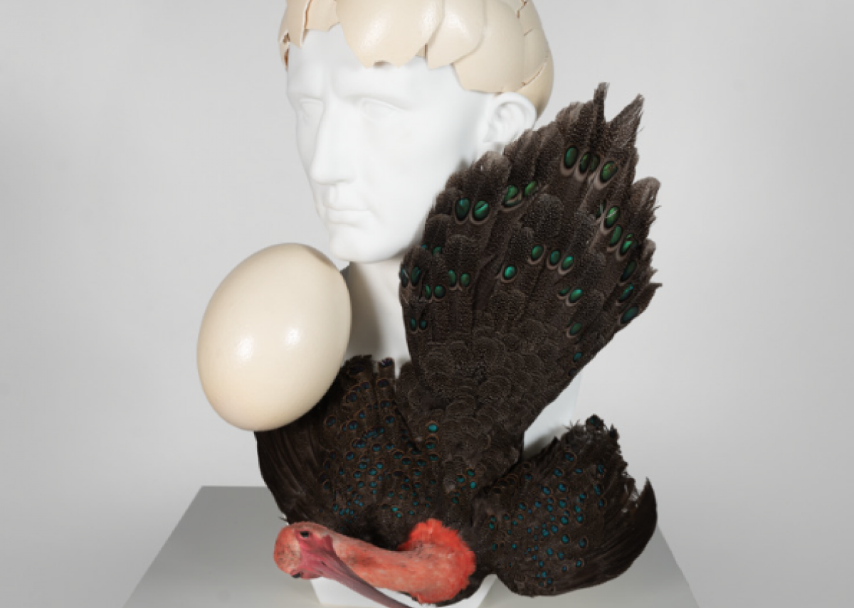 Temptation © Koen Vanmechelen, Photo Kris Vervaeke