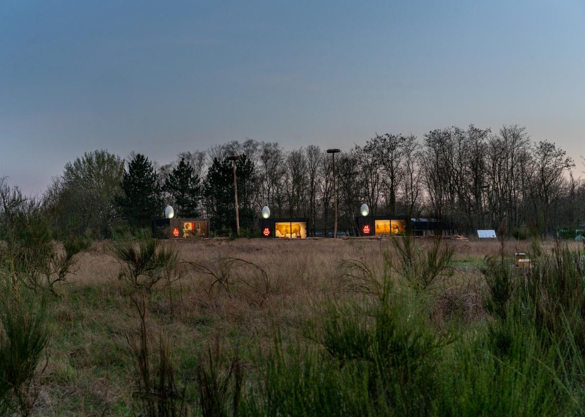 LaMouseion © Koen Vanmechelen, Kris Vervaeke
