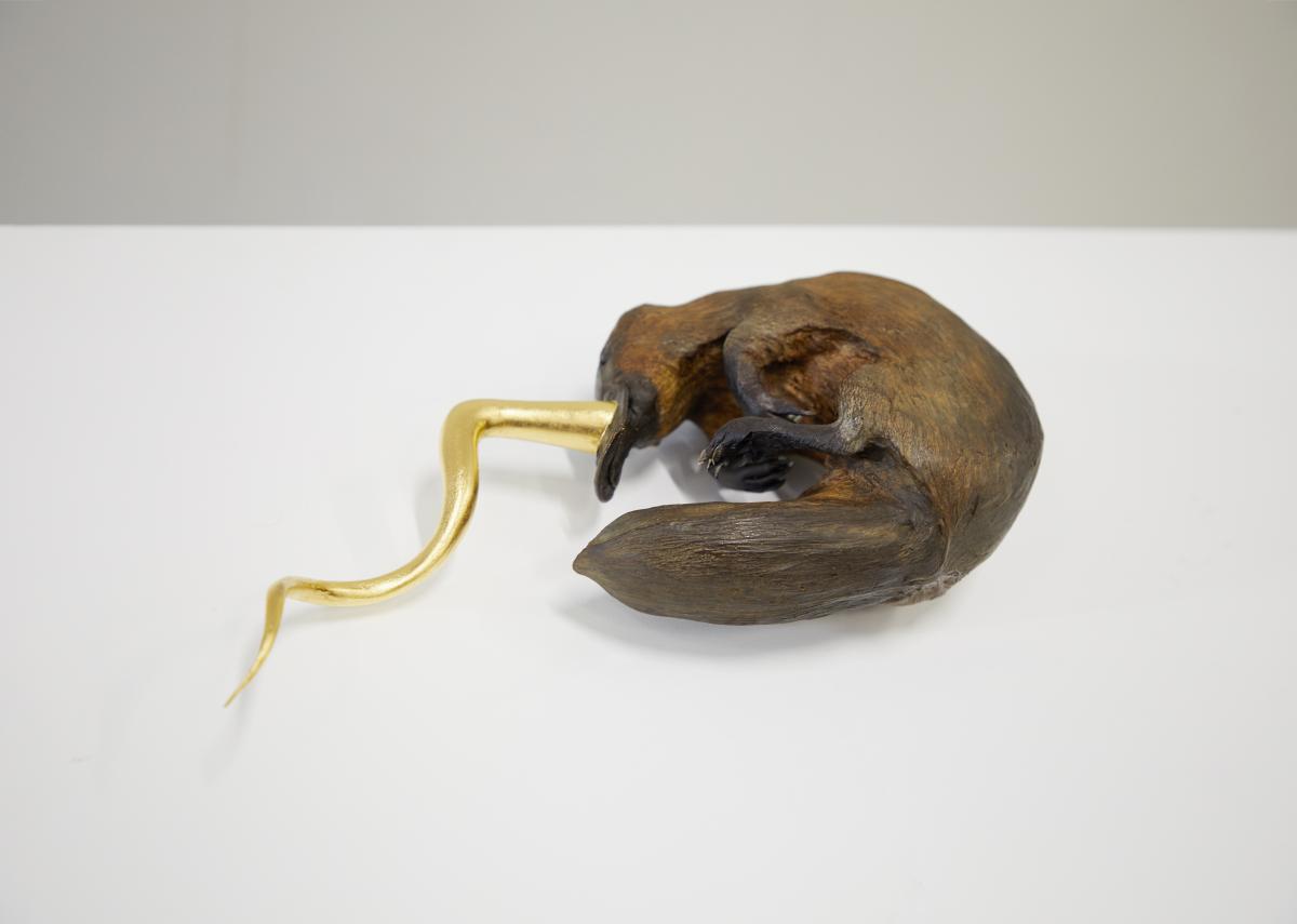 Golden Cord © Koen Vanmechelen 
