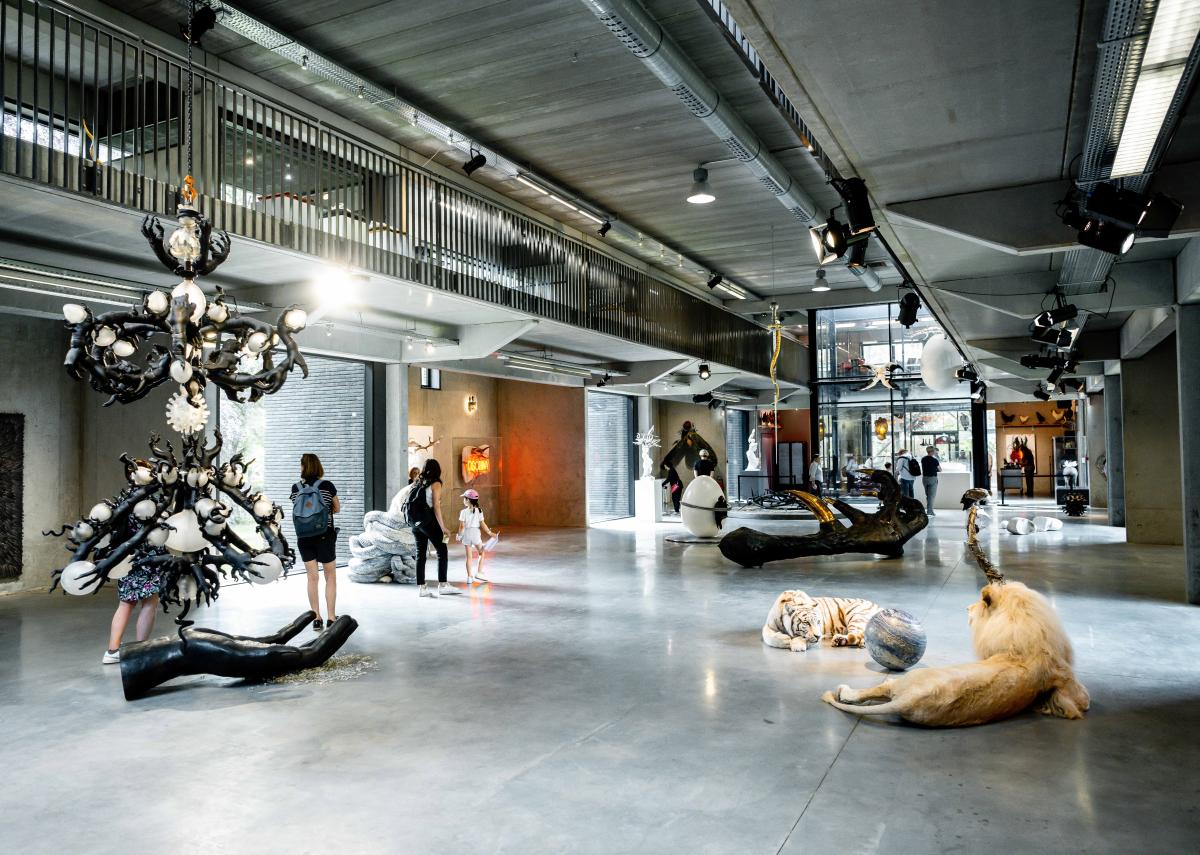 Dag van de Cosmogolem 2023, Koen Vanmechelen © Boumediene Belbachir