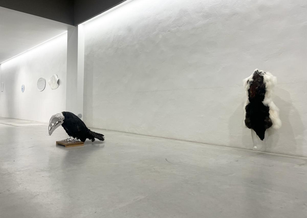 Artificial Crossbreeding and Barefoot by Koen Vanmechelen