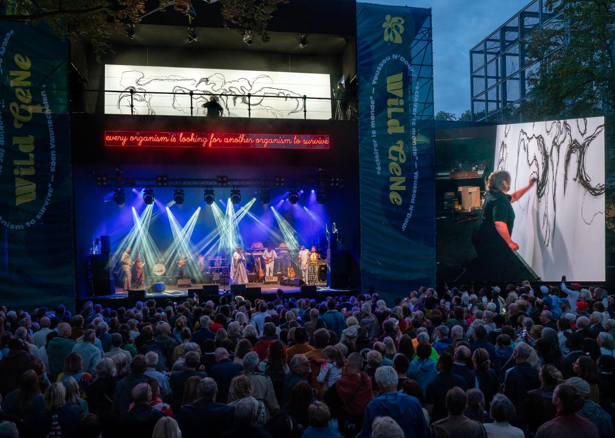 Wild Gene Festival, photo by Kris Vervaeke